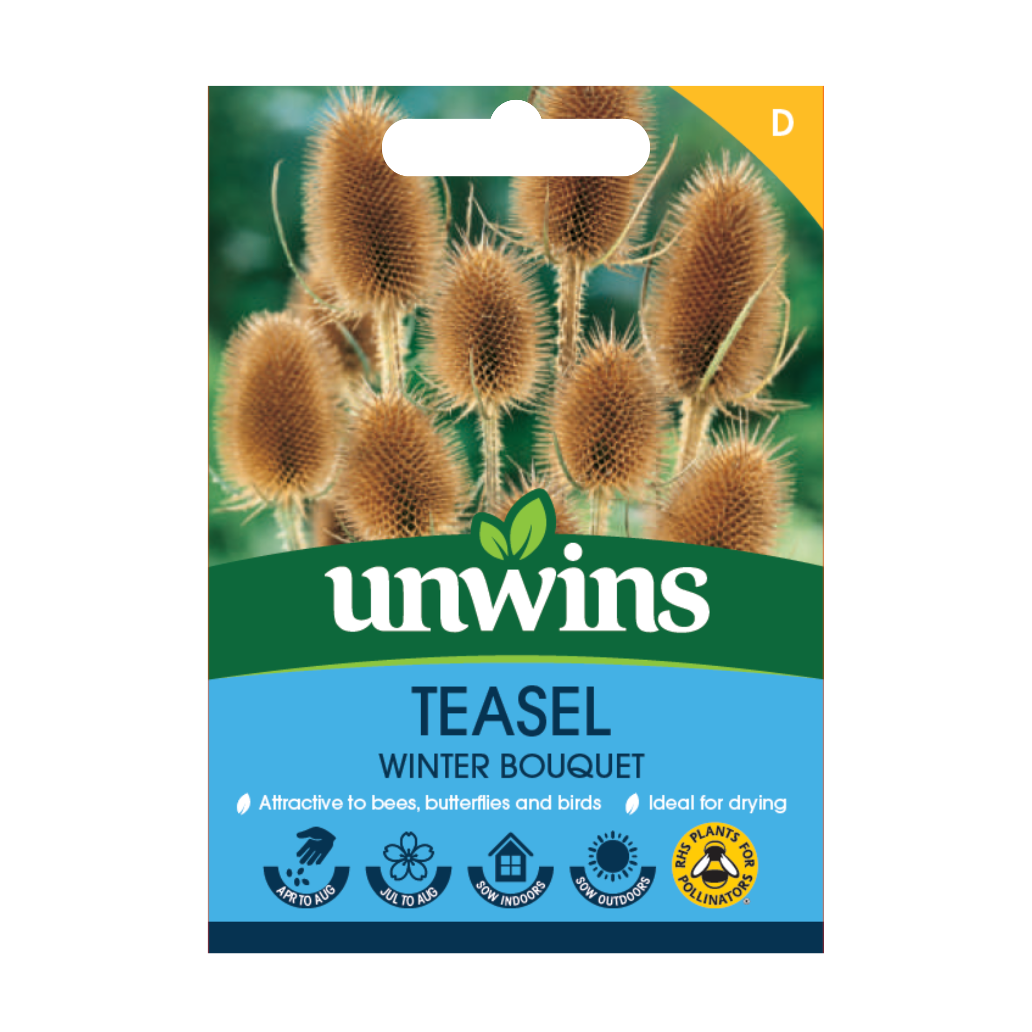 winter wildflower seeds Teasel Winter Bouquet Seeds