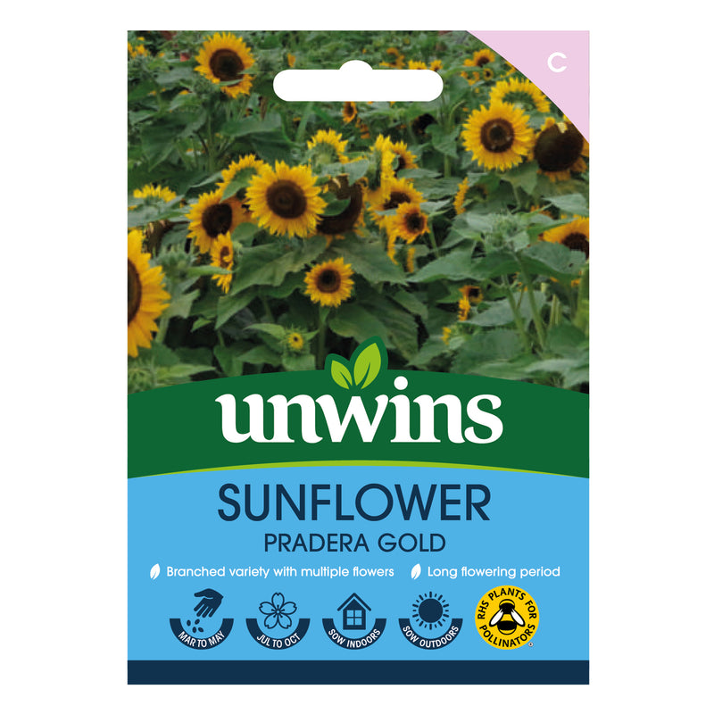 Unwins Sunflower Pradera Gold Seeds