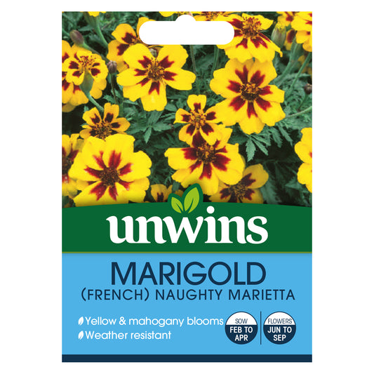 Unwins Marigold French Naughty Marietta Seeds - front