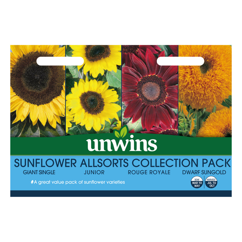 Unwins Sunflower Allsorts Collection Pack