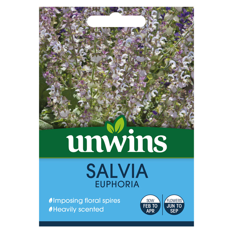 Unwins Salvia Euphoria Seeds