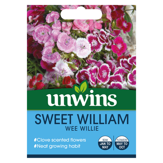 Unwins Sweet William Wee Willie Seeds - front
