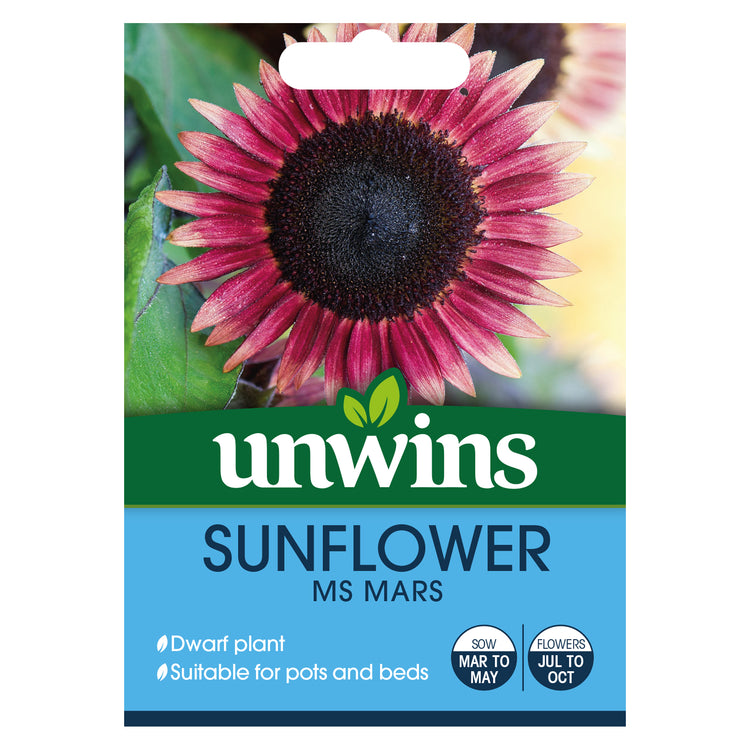 Unwins Sunflower Ms Mars Seeds