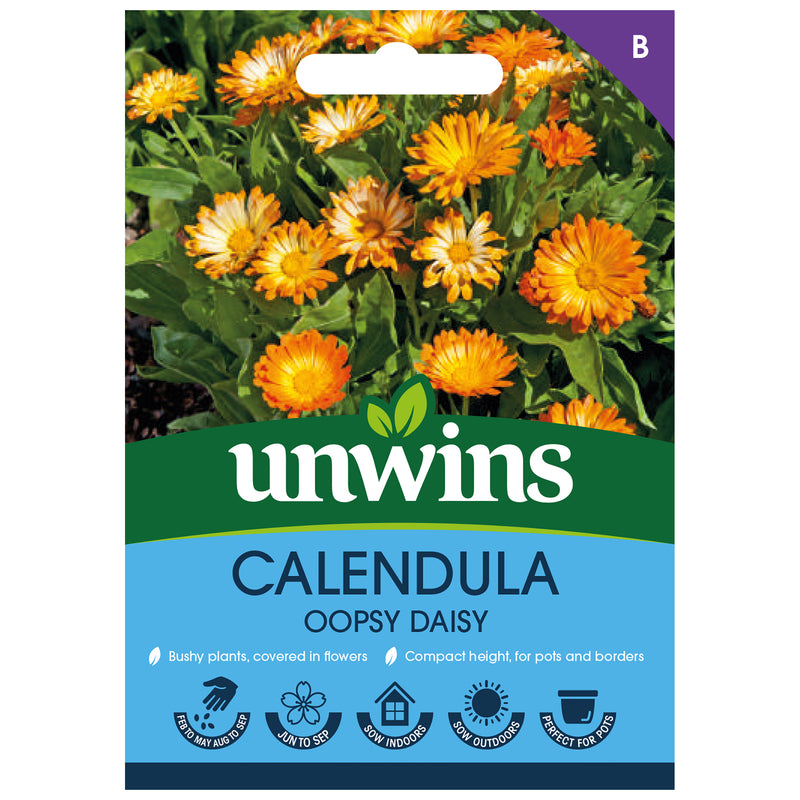 Unwins Calendula Oopsy Daisy Seeds