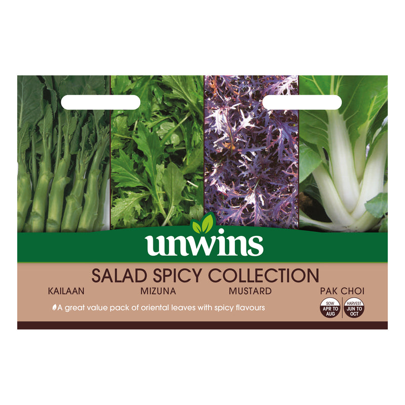 Unwins Salad Spicy Collection Pack Seeds