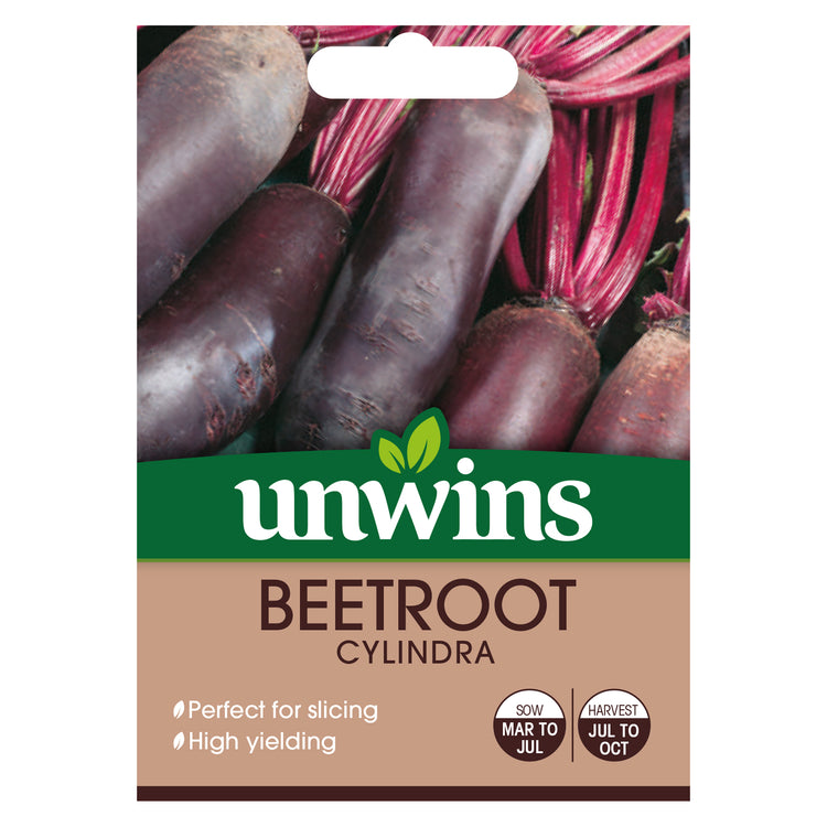 Unwins Long Beetroot Cylindra Seeds