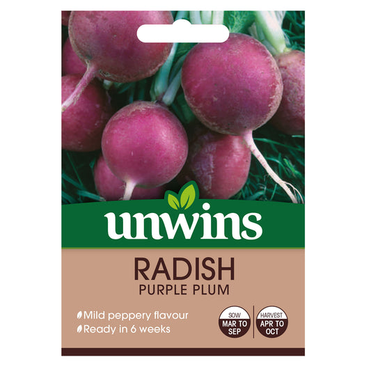 Unwins Globe Radish Purple Plum Seeds - front