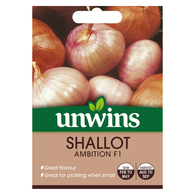 Unwins Shallot Ambition F1 Seeds