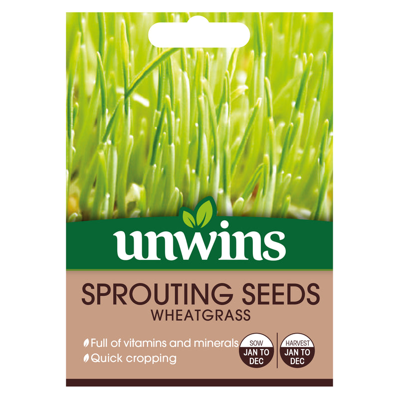 Unwins Sprouting Seeds Wheatgrass Seeds