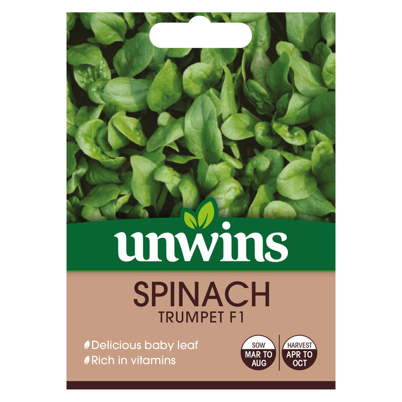 Unwins Spinach Trumpet Seeds