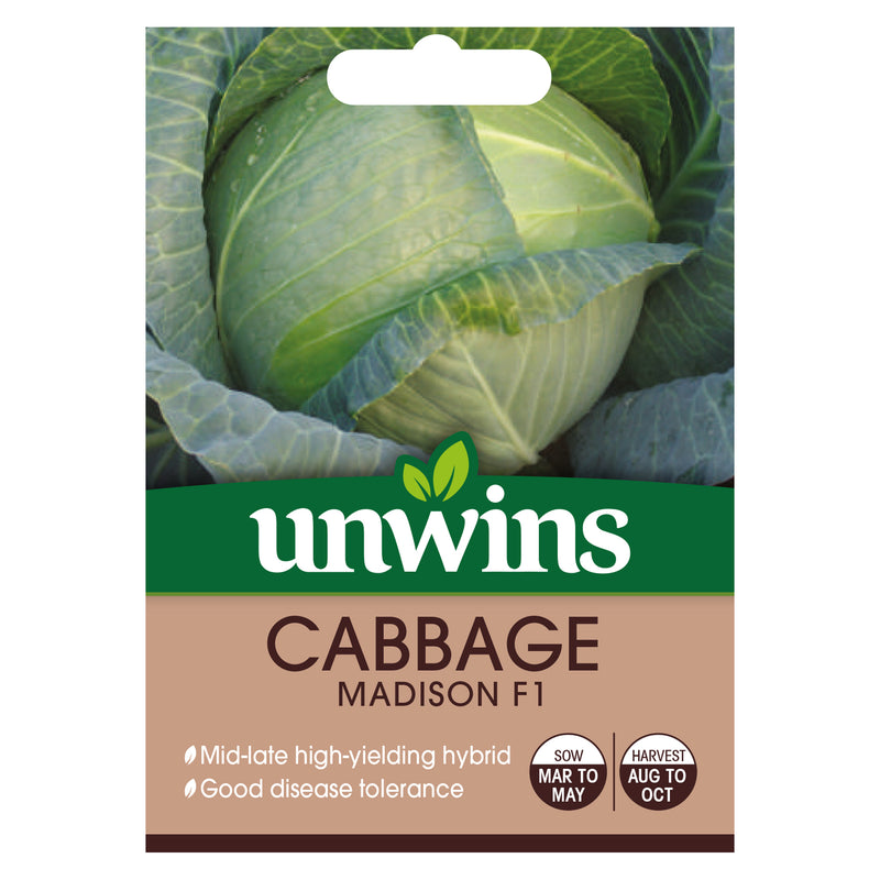 Unwins Round Cabbage Madison F1 Seeds