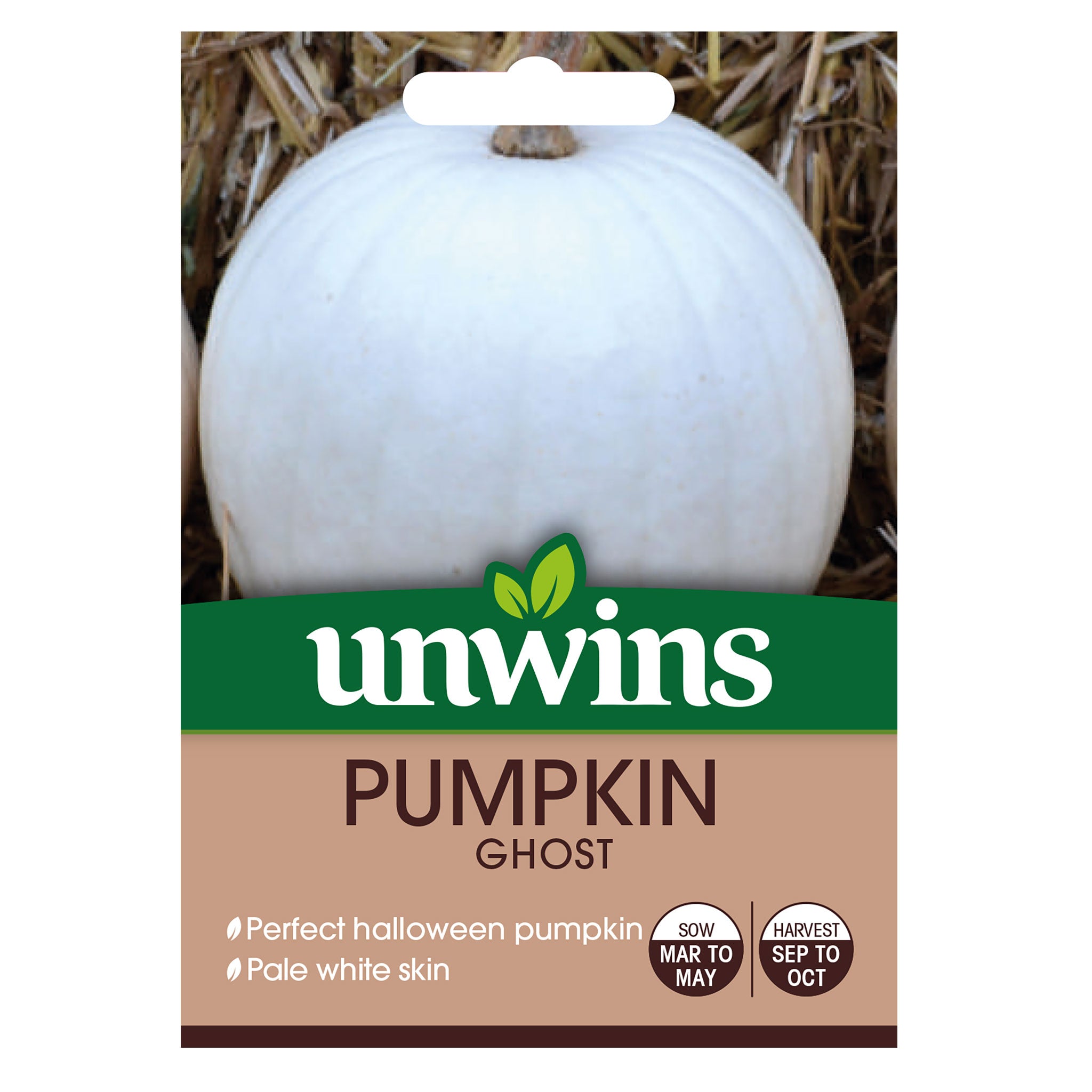 Unwins Pumpkin Ghost - Vegetable Seeds – Unwins UK