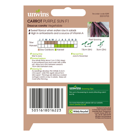 Unwins Carrot Purple Sun Seeds