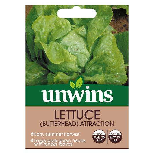 Unwins Butterhead Lettuce Attraction Seeds - front