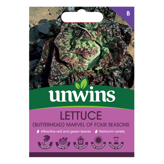 Unwins Butterhead Lettuce Marvel of Four Seasons Seeds front