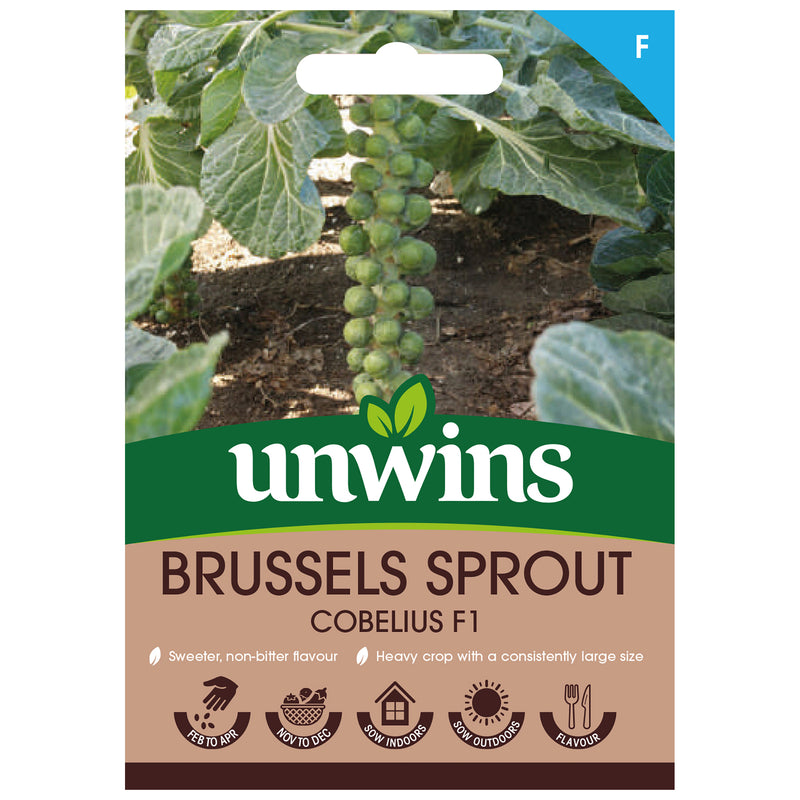 Unwins Brussels Sprout Cobelius F1 Seeds