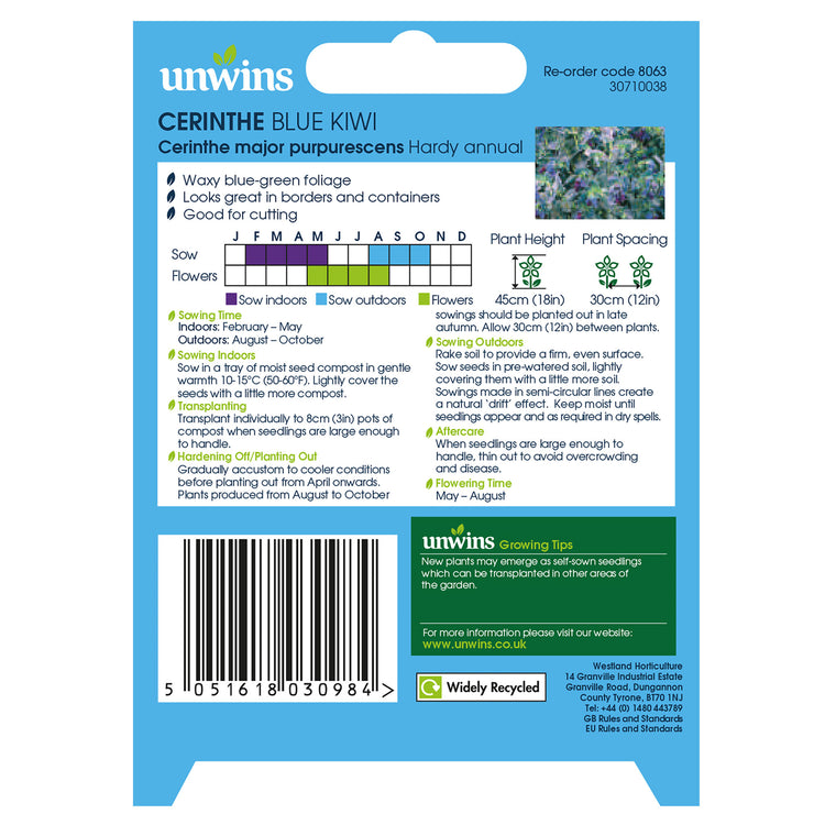 Unwins Cerinthe Blue Kiwi Seeds