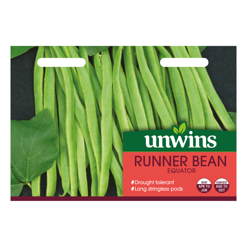Unwins Runner Bean Equator Seeds