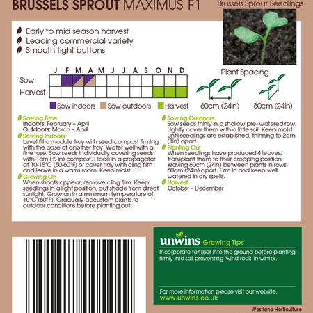 Unwins Brussels Sprout Maximus F1 Seeds