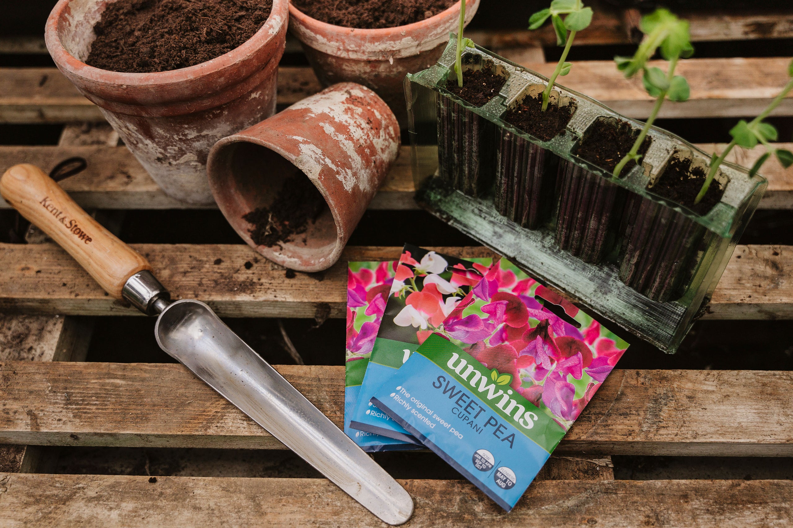 Gardening tools and unwins sweet pea seed packets on a wooden surface