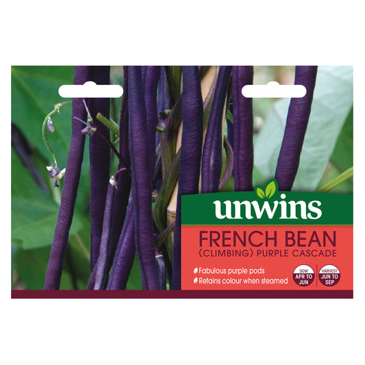 Unwins Climbing French Bean Purple Cascade Seeds - front