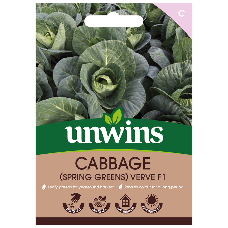 Unwins Spring Greens Cabbage Verve F1 Seeds