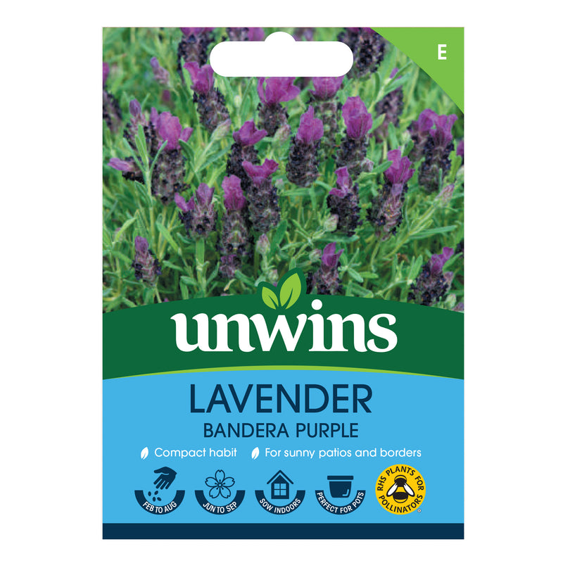 Unwins Lavender Bandera Purple Seeds