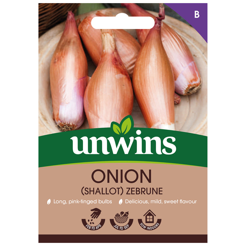 Unwins Shallot Zebrune Seeds