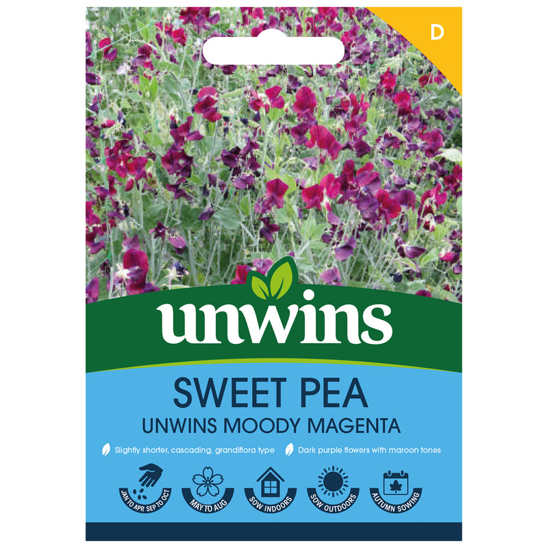 Unwins Sweet Pea Unwins Moody Magenta Seeds