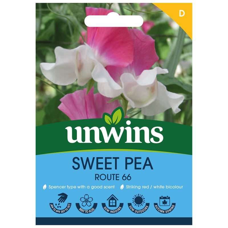 Unwins Sweet Pea Route 66 Seeds