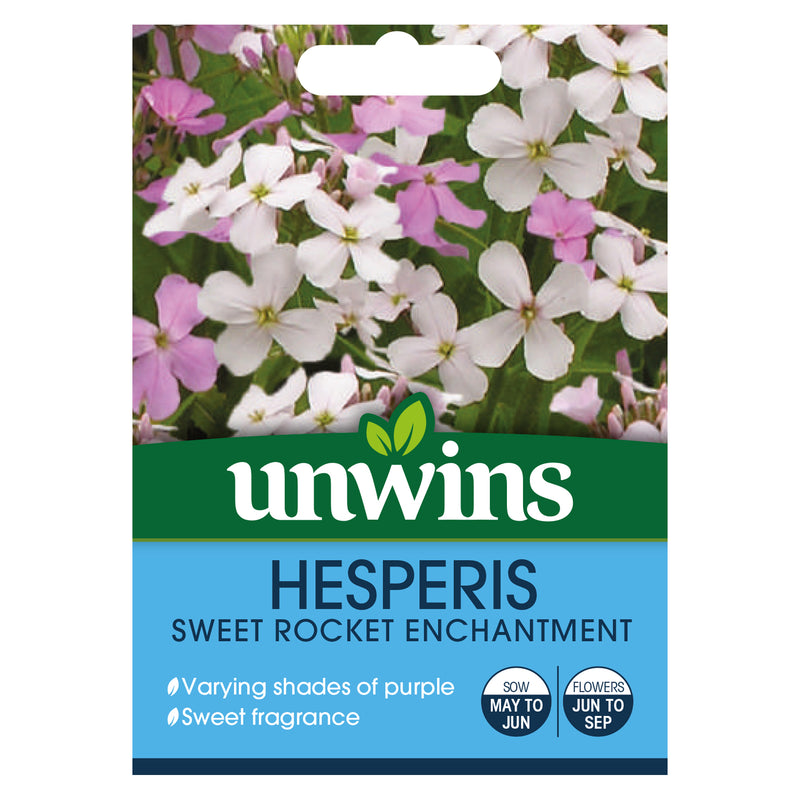 Unwins Hesperis Sweet Rocket Enchantment Seeds