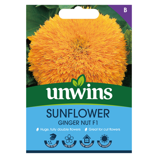 Unwins Sunflower Ginger Nut F1 Seeds front of pack