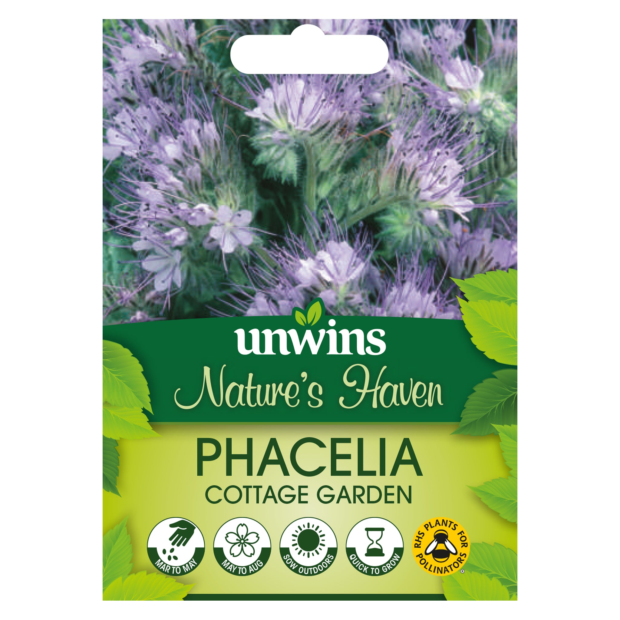 cottage garden seeds Nature's Haven Phacelia Cottage Garden Seeds