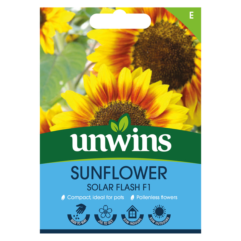 Unwins Sunflower Solar Flash F1 Seeds