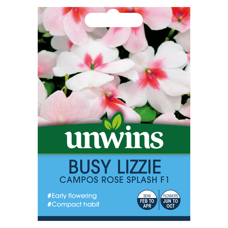 Unwins Busy Lizzie Campos Rose Splash Seeds
