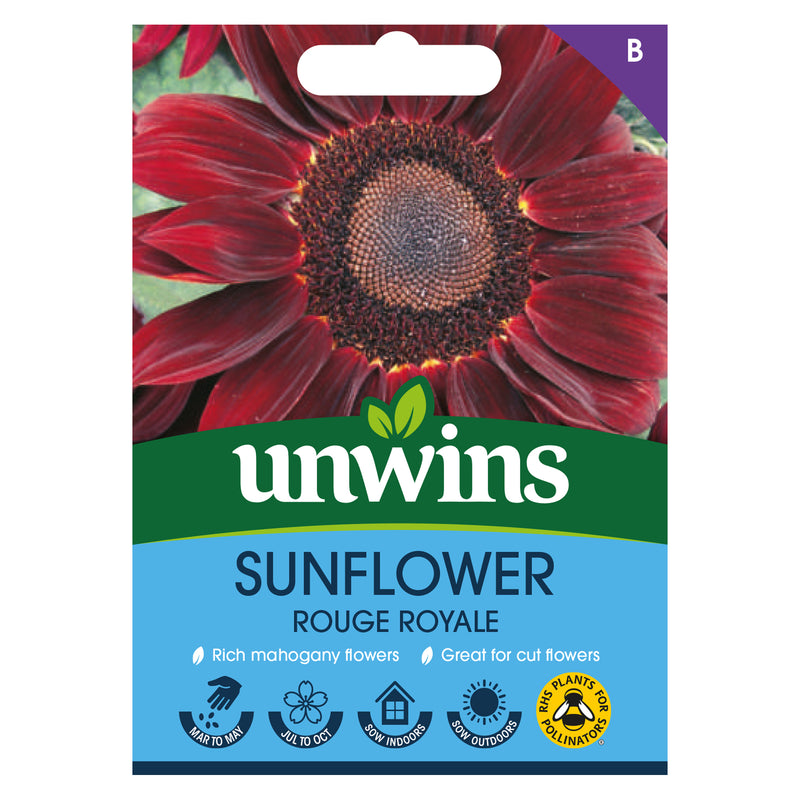 Unwins Sunflower Rouge Royale Seeds