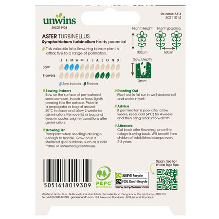Unwins Aster Turbinellus Seeds