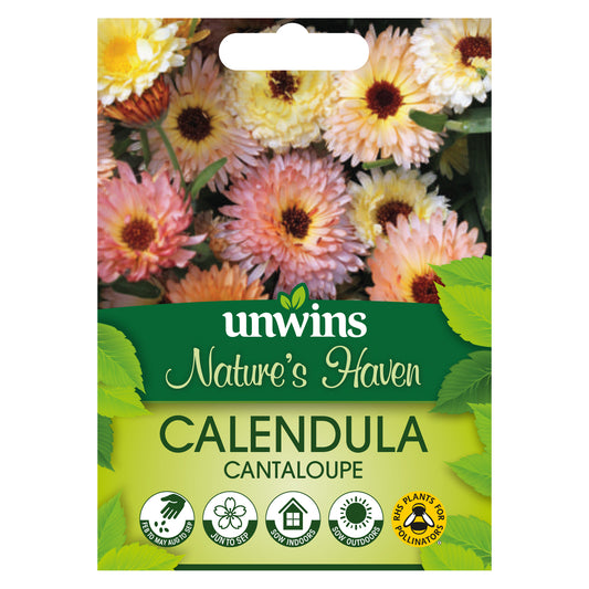 Nature's Haven Calendula Cantaloupe Seeds front