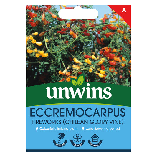 Unwins Eccremocarpus Fireworks Chilean Glory Vine Seeds Front