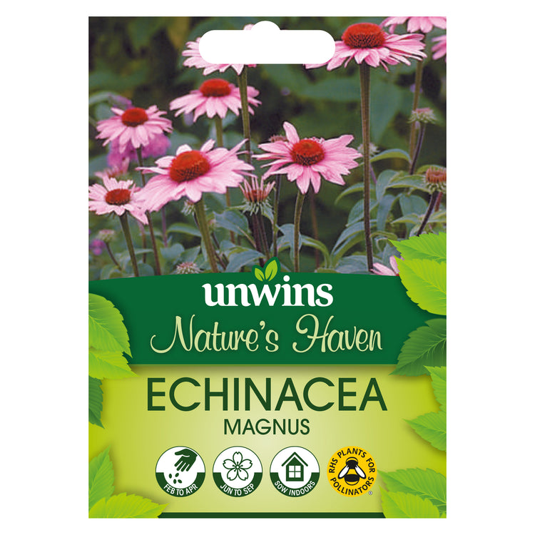 Nature's Haven Echinacea Magnus Seeds