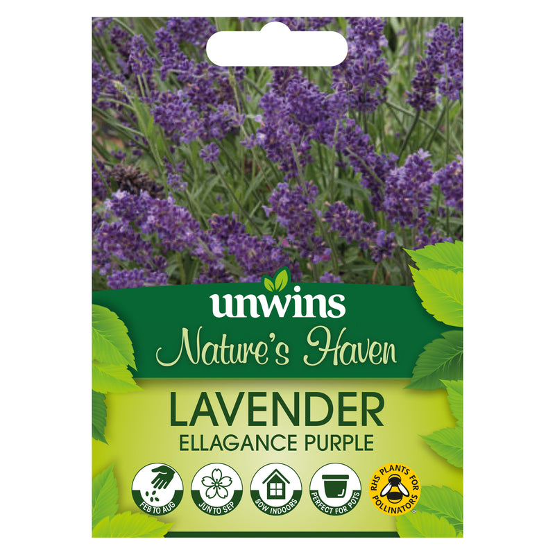 Nature's Haven Lavender Ellagance Purple Seeds
