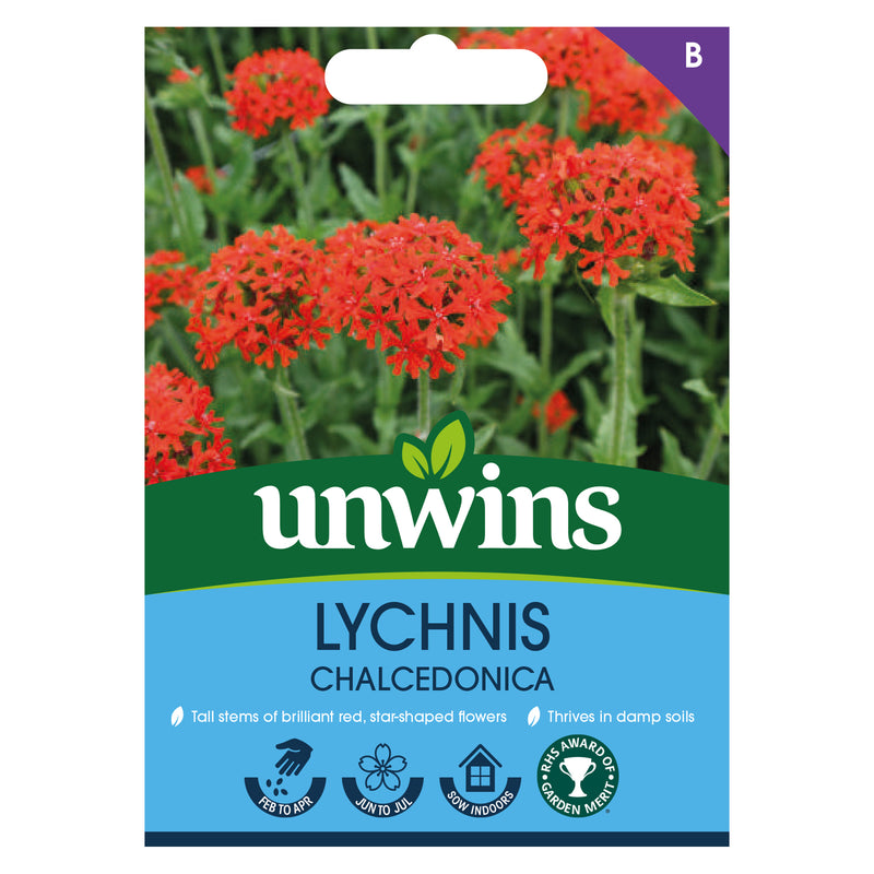 Unwins Lychnis Chalcedonica Seeds