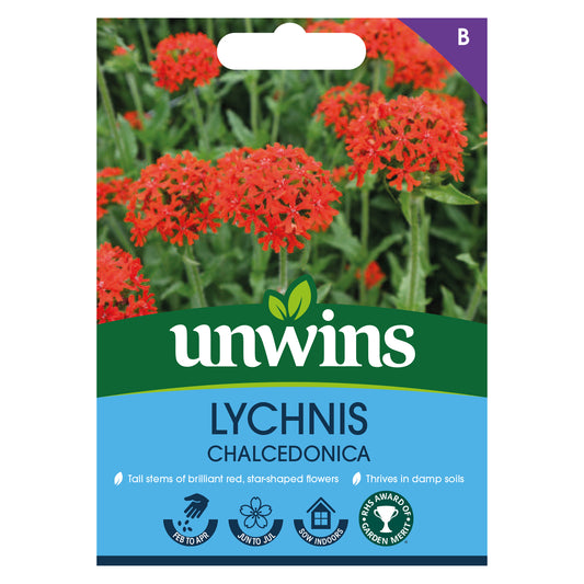 Unwins Lychnis chalcedonica Seeds front
