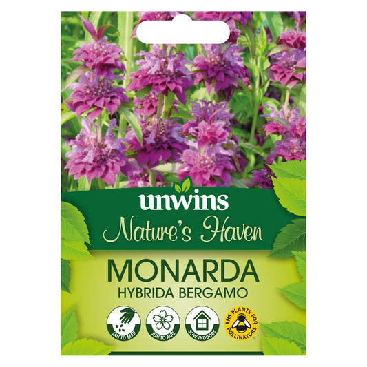 Nature's Haven Monarda Hybrida Bergamo Seeds front of pack