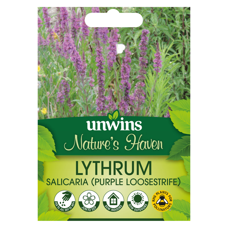 Nature's Haven Lythrum Salicaria Purple Loosestrife Seeds