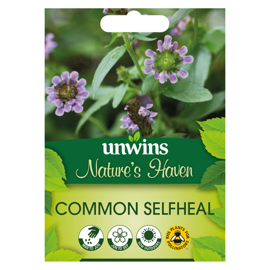 Nature's Haven Common Selfheal Seeds Front