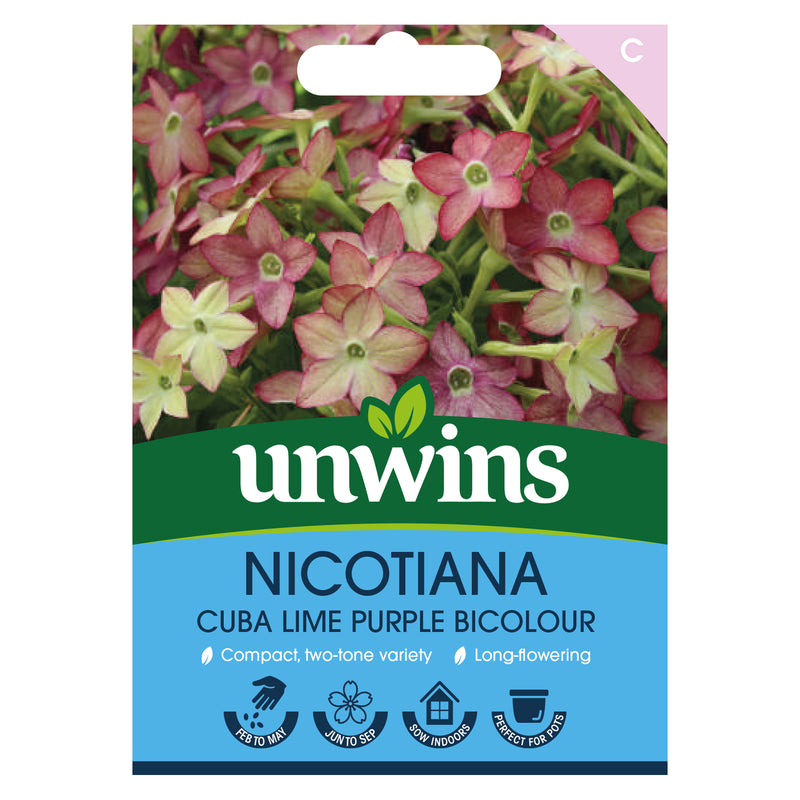 Unwins Nicotiana Cuba Lime Purple Bicolour Seeds