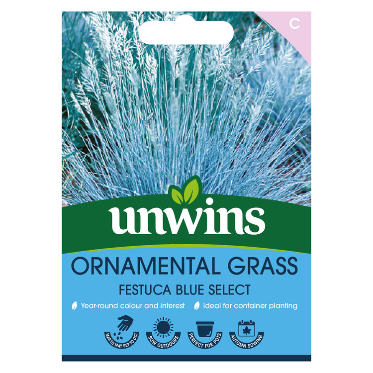 Unwins Ornamental Grass Festuca Blue Select Seeds