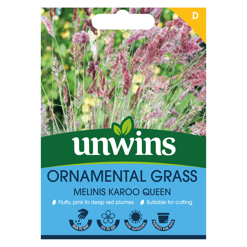 Unwins Ornamental Grass Melinis Karoo Queen Seeds