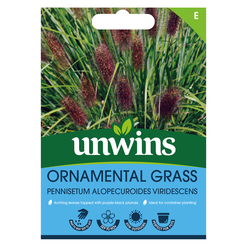 Unwins Ornamental Grass Pennisetum Alopecuroides Viridescens Seeds